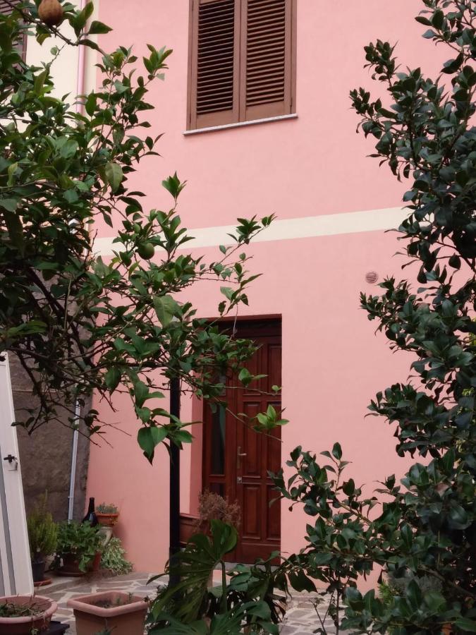 L'Agrifoglio Di Emy Bed & Breakfast Guspini Ngoại thất bức ảnh