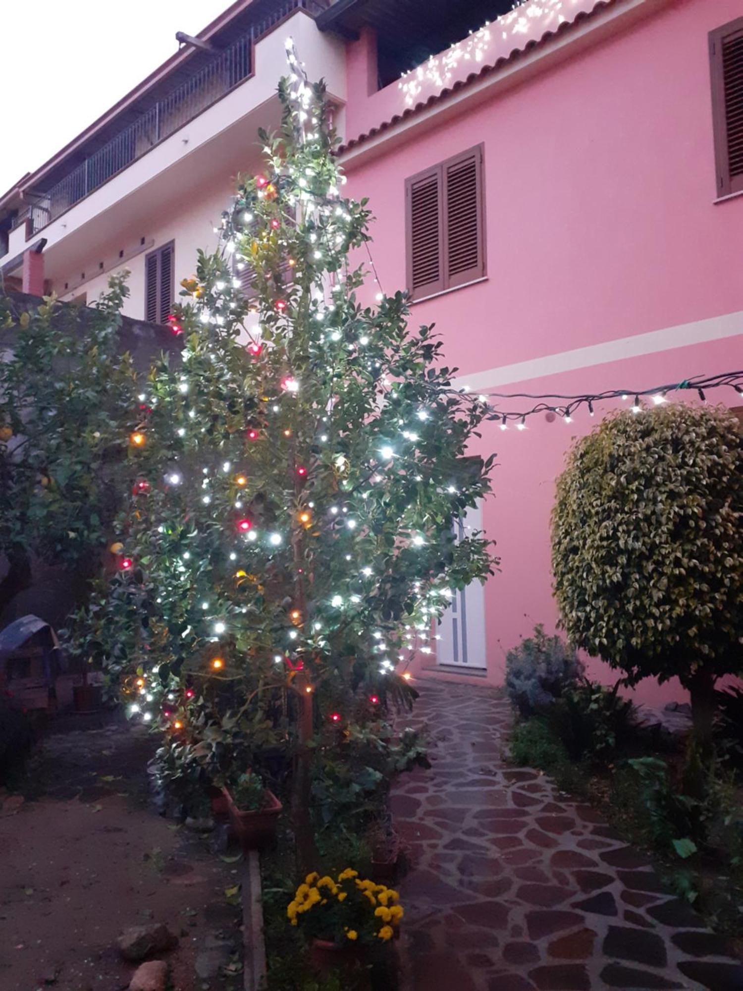 L'Agrifoglio Di Emy Bed & Breakfast Guspini Ngoại thất bức ảnh